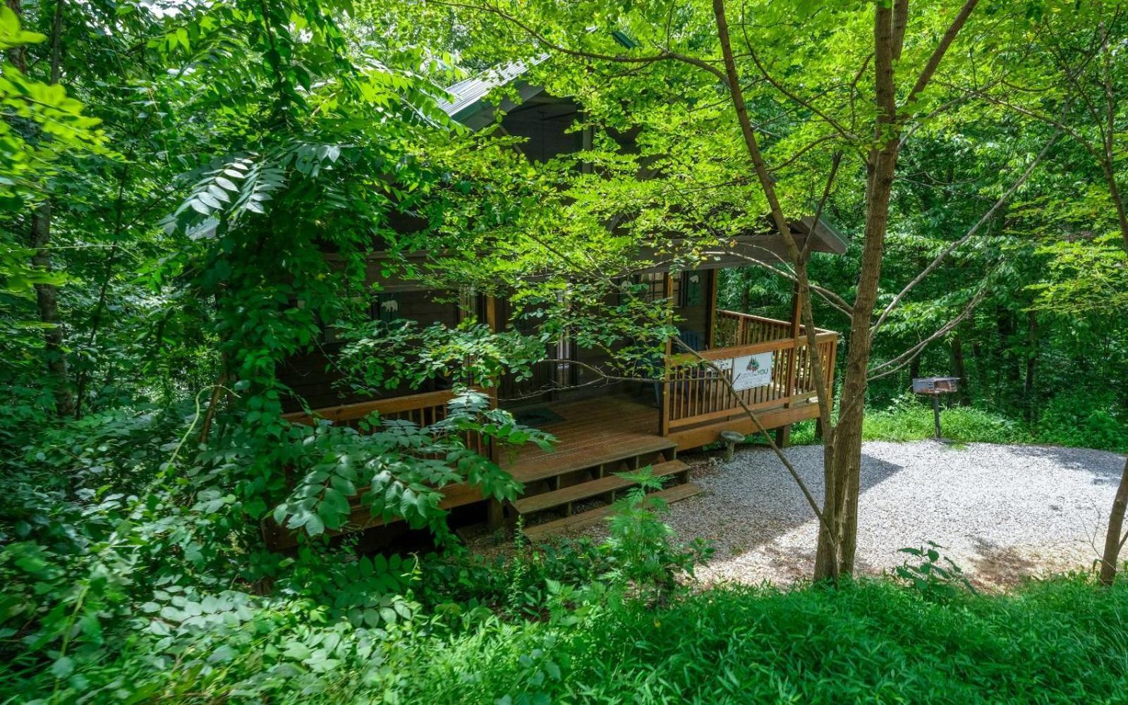 蓋特林堡The Tree House别墅 外观 照片